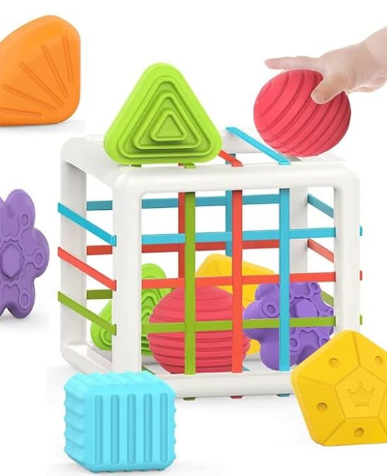 MINGKIDS Montessori Toys for 1 Year Old, 6 Pc Multi Sensory Shape, Toddler Developmental Learning Birthday Gifts, Baby Toys 12 Month