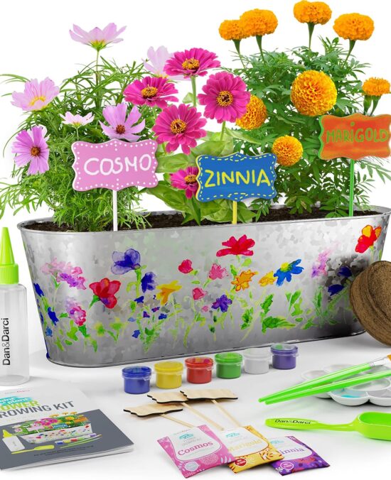 Dan&Darci Paint & Plant Flower Growing Kit for Kids - Gift Ideas Age 5 6 7 8-12 Year Old Girl - Birthday Crafts Gifts for Girls & Boys, Fun Children Gardening Kits, Art Projects for Ages 5-12 Years